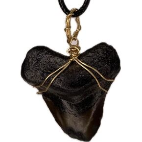 Genuine North Carolina Megalodon Shark Tooth Necklace Wrapped in your choice of metal Real Fossil Shark Tooth Pendant Necklace, Jurassic gift- in Kuwait