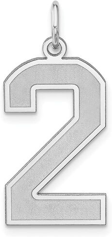 925 Sterling Silver with Rhodium-plated Satin Number 0 to 100 Charm Pendant in Saudi Arabia