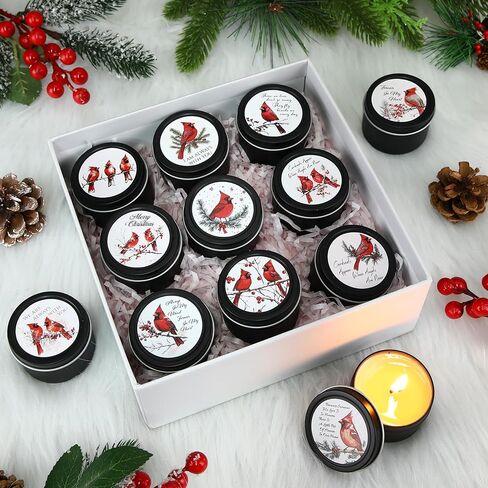 Nuanchu 24 Pack Christmas Scented Candles Gift Set Red Cardinal Candle for Her Him 2oz Natural Soy Wax Jar Long Lasting Aromatherapy Bulk Favors Set for Christmas Party Home Decor in Saudi Arabia