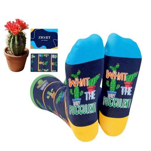 Zmart Funny Plant Gifts - Cactus Socks for Women Men, Succulent Gifts for Cactus Lovers in Saudi Arabia