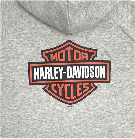 Harley-Davidson Little Boys' Bar & Shield Knit Zip-Up Toddler Hoodie - Gray in Saudi Arabia