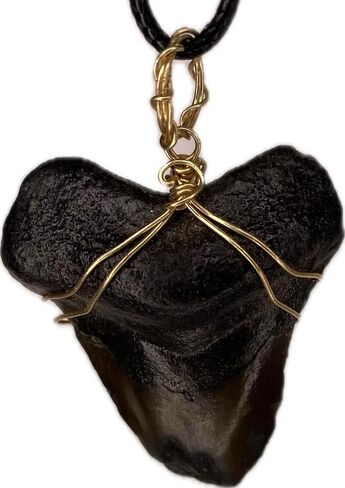Genuine North Carolina Megalodon Shark Tooth Necklace Wrapped in your choice of metal Real Fossil Shark Tooth Pendant Necklace, Jurassic gift- in Kuwait