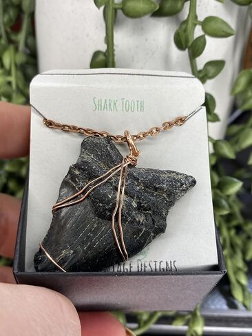 Genuine North Carolina Megalodon Shark Tooth Necklace Wrapped in your choice of metal Real Fossil Shark Tooth Pendant Necklace, Jurassic gift- in Kuwait