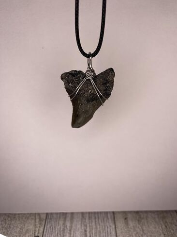 Genuine North Carolina Megalodon Shark Tooth Necklace Wrapped in your choice of metal Real Fossil Shark Tooth Pendant Necklace, Jurassic gift- in Kuwait