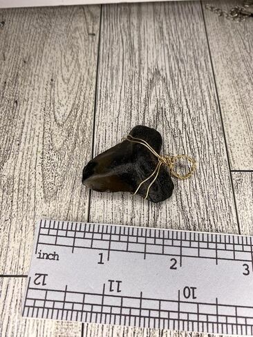 Genuine North Carolina Megalodon Shark Tooth Necklace Wrapped in your choice of metal Real Fossil Shark Tooth Pendant Necklace, Jurassic gift- in Kuwait
