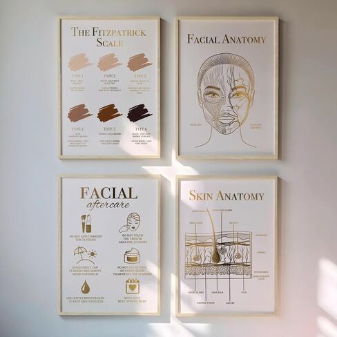 NATVVA 4 Pieces Facial Anatomy Canvas Painting Fitzpatrick Scale Pictures Facial Aftercare Poster Skin Anatomy Wall Art Prints for Beauty Clinic Beauty Salon Decor With Wooden Inner Frame in Saudi Arabia