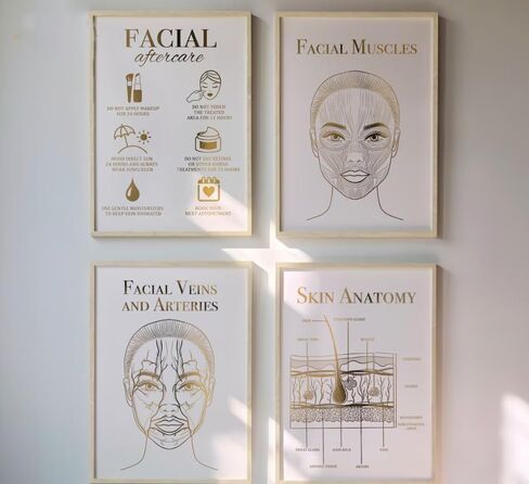 NATVVA 4 Pieces Facial Anatomy Canvas Painting Fitzpatrick Scale Pictures Facial Aftercare Poster Skin Anatomy Wall Art Prints for Beauty Clinic Beauty Salon Decor With Wooden Inner Frame in Saudi Arabia