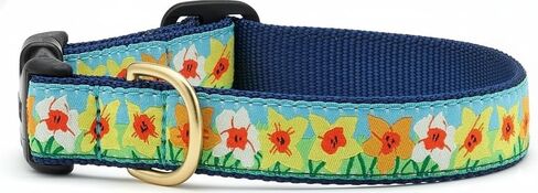 طوق كلب أب كانتري دافوديل، صغير (9 إلى 15 بوصة) بعرض ضيق 5/8 بوصة in Kuwait