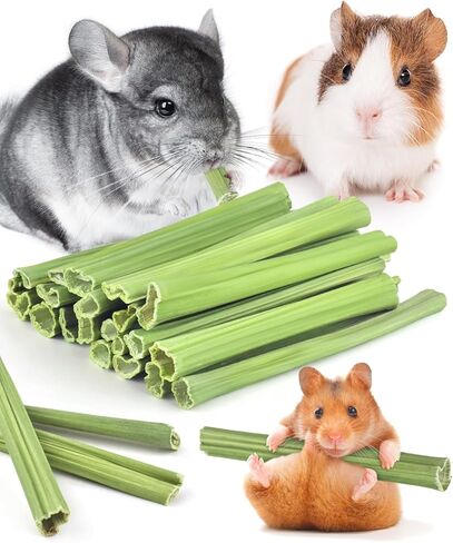 Bissap 50PCS Rabbit Chew Sticks, Natural Papaya Stems Bunny Chews Treats for Rabbits Hamsters Chinchillas Guinea Pigs Small Animals Organic Molar Chewing Snack in Saudi Arabia