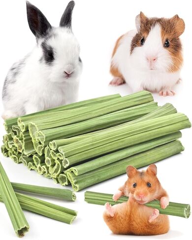 Bissap 50PCS Rabbit Chew Sticks, Natural Papaya Stems Bunny Chews Treats for Rabbits Hamsters Chinchillas Guinea Pigs Small Animals Organic Molar Chewing Snack in Saudi Arabia