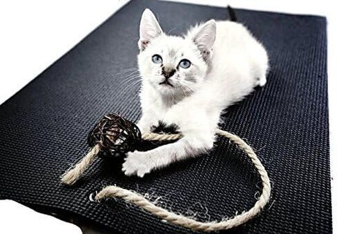 Feline Yogi Cat Mat with Catnip Cat Toy. Cat Scratching Post, Bed, Activity Play Mat (Blue) in Kuwait