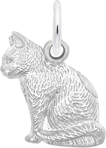 Sitting Elegant Cat Charm by Rembrandt in Saudi Arabia