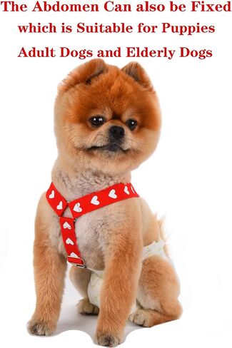 TESSVEYA 4 Pcs Dog Diaper Suspenders | Cat Suspenders | Female Male Dog Skirt Dress & Diaper Keeper | for Small Medium and Large Dogs (Square,Heart, M) in Saudi Arabia