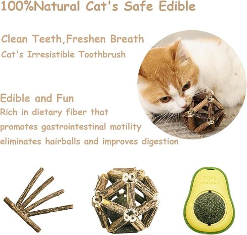 Glamflapin Cat Toys Bulk for Indoor Cats - Cat Toy Ball Launcher Gun, Cat Wand, Catnip Toys Balls, Catnip Fish, Mice, Cat Spring Toys, Colorful Balls and Bells for Cat in Saudi Arabia