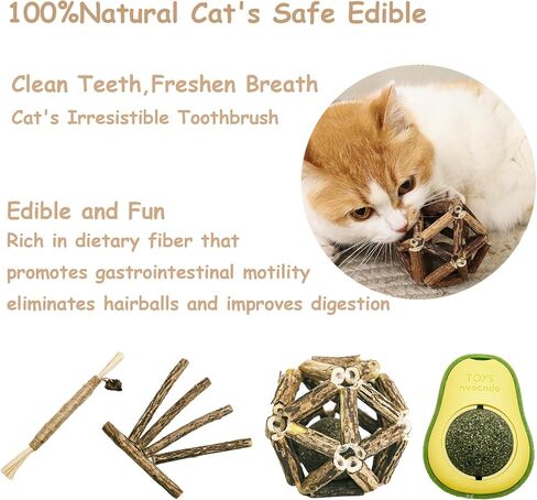 Glamflapin Cat Toys Bulk for Indoor Cats - Cat Toy Ball Launcher Gun, Cat Wand, Catnip Toys Balls, Catnip Fish, Mice, Cat Spring Toys, Colorful Balls and Bells for Cat in Saudi Arabia