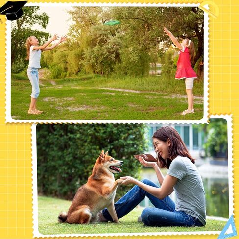 ShinyRelief 56 قطعة من أكياس الفاصوليا التعليمية للأطفال الصغار مع 20 كيس فاصوليا 10 أكياس فاصوليا ملونة 26 كيس فاصوليا أبجدية للأطفال الذين يتعلمون اللون الأبجدية ورقم الأبجدية لعبة القذف الحسية في الفصل الدراسي المنزلي in Saudi Arabia