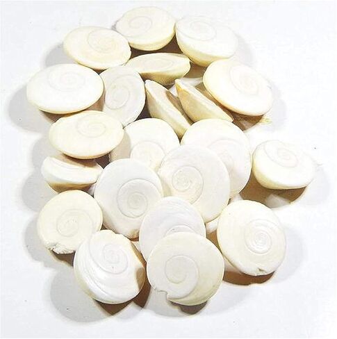 مجموعة Balajicreation 11 قطعة من جومتي/جوماتي شاكرا الأصلية in Kuwait