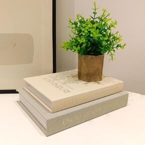 Decorative Books Set of 2 - Stylish Faux Books for Coffee Table w/Metal Tassel Bookmark, Bookshelf Accents & Photo Storage Keepsake Box in Saudi Arabia