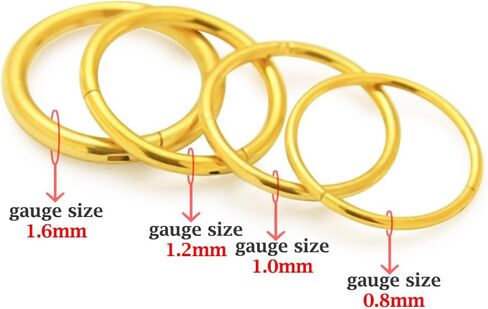16 Gauge (1.2mm) 316L Surgical Steel Hinged Clicker Segment Ring, Cartilage, Helix, Tragus, Piercing Jewelry in Saudi Arabia