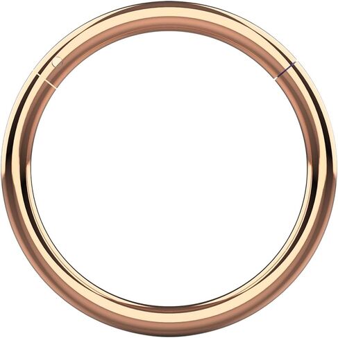16 Gauge (1.2mm) 316L Surgical Steel Hinged Clicker Segment Ring, Cartilage, Helix, Tragus, Piercing Jewelry in Saudi Arabia