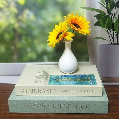 Decorative Books Set of 2 - Stylish Faux Books for Coffee Table w/Metal Tassel Bookmark, Bookshelf Accents & Photo Storage Keepsake Box in Saudi Arabia