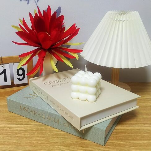 Decorative Books Set of 2 - Stylish Faux Books for Coffee Table w/Metal Tassel Bookmark, Bookshelf Accents & Photo Storage Keepsake Box in Saudi Arabia