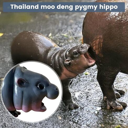 تماثيل فرس النهر مو دينغ، زخرفة فرس النهر القزم مو دينغ اللطيفة، منحوتات فرس النهر المنزلية للمكتب، رف الكتب، المدخل، رف المزرعة، غرفة النوم، تزيين طاولة القهوة (1) in Kuwait