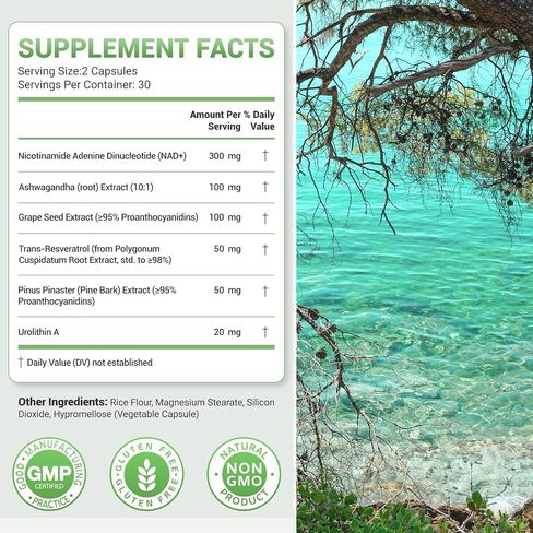 Nature Whisper® NAD+ مكملات ريسفيراترول، مركب 6 في 1 مع ترانس ريسفيراترول وأوروليثين أ، أشواغاندا، بذور العنب ومستخلص لحاء الصنوبر للطاقة الخلوية والشيخوخة الصحية - 60 كبسولة in Kuwait