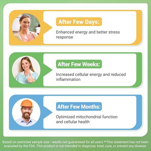 Nature Whisper® NAD+ مكملات ريسفيراترول، مركب 6 في 1 مع ترانس ريسفيراترول وأوروليثين أ، أشواغاندا، بذور العنب ومستخلص لحاء الصنوبر للطاقة الخلوية والشيخوخة الصحية - 60 كبسولة in Kuwait