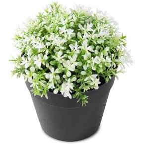 نباتات عصارية صناعية متنوعة - نباتات عصارية صناعية للمكتب أو الحمام أو الرف أو ديكور المنزل، نباتات خضراء واقعية لتزيين المزرعة والمكتب والمطبخ PA-015 in Kuwait