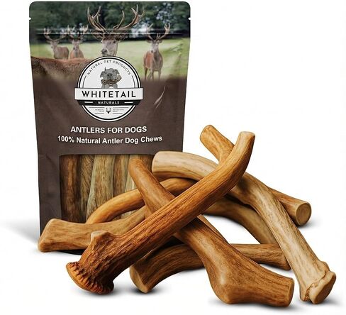 WhiteTail Naturals Premium Whole Elk Antlers for Dogs (1 Pound Pack) Natural Dog Chews | Naturally Shed Antler Horn | 6 to 8 Inch Long | Large and Medium Antler Bone Chew in Kuwait