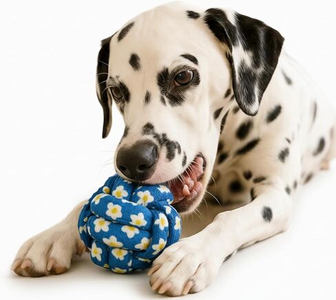 My Pet & Me - Durable Knotted Dog Rope Toy - Dog Chew Toy for Fun Loving Chewers, Puppy Teething Toy, Interactive Rope Toys to Keep Dogs Busy, Perfect for Playtime in Saudi Arabia