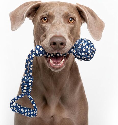 My Pet & Me - Durable Knotted Dog Rope Toy - Dog Chew Toy for Fun Loving Chewers, Puppy Teething Toy, Interactive Rope Toys to Keep Dogs Busy, Perfect for Playtime in Kuwait