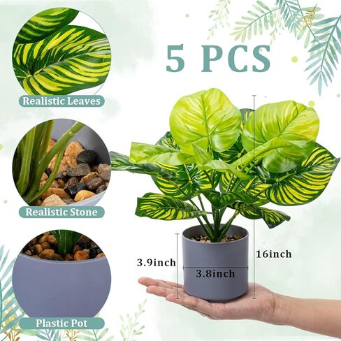 5 قطع 11 بوصة نباتات استوائية اصطناعية بوعاء داخلي صغير نبات Monstera الصناعي في أوعية الحصى البيضاء قطعة مركزية للطاولة الخضراء المزيفة للمنزل وغرفة المعيشة والمطبخ والمكتب وغرفة النوم in Kuwait