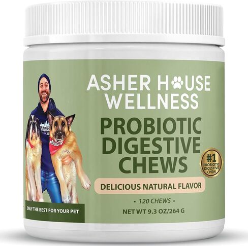 Asher House Wellness Skin & Coat Chews - Dog Itching Skin Relief with Omega 3, 6, 9, Fish Oil, Biotin - Dogs Itchy Paw Licking Chewable Treats, Puppy Dry Itch Supplement - 120 Soft Chews in Kuwait