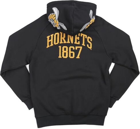 بلوفر رجالي من Big Boy Alabama State Hornets S9 [أسود] - ID#44313-15-225-0-0 in Saudi Arabia