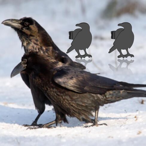 OKEYCH Raven Lover Gift أقراط ذات طابع Raven من يحب مجوهرات الغراب Crow Bird Merch in Saudi Arabia
