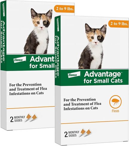 Advantage Topical Cat Flea Treatment and Prevention for Small Cats 2-9 lbs. | Apply Flea Drops Monthly | 2 Treatments in Kuwait