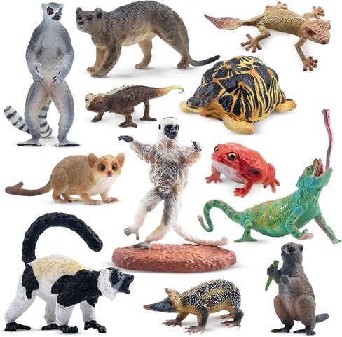 مجموعة ألعاب التمييز الحيوانية من Toymany الزواحف ، 12 PCS شخصيات حيوانات برمائية مع Komodo Dragon Snake Chameleon Rainforest Blood Plood Plughures Forms for Kids in Saudi Arabia