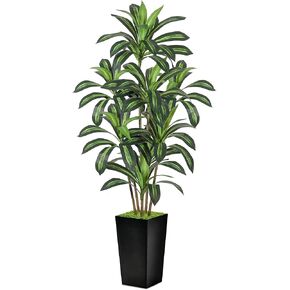 Realistic Artificial Indoor Plant Tree - Tall Fake Dracaena Potted Plant for Home Office Decor, Living Room & Bedroom - Lifelike Faux Plant Tree with Pot-Palm Tree (Black, 6FT) in Saudi Arabia