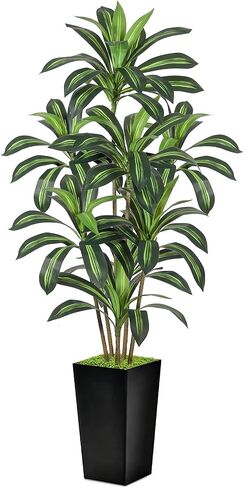 Realistic Artificial Indoor Plant Tree - Tall Fake Dracaena Potted Plant for Home Office Decor, Living Room & Bedroom - Lifelike Faux Plant Tree with Pot-Palm Tree (Black, 6FT) in Saudi Arabia