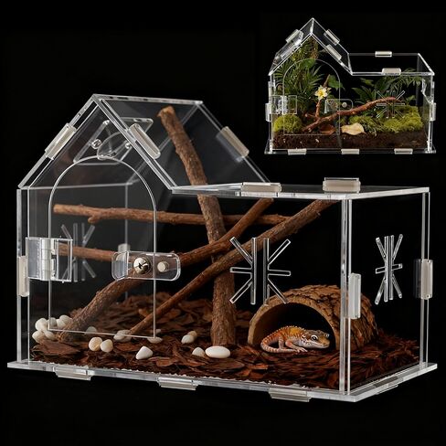 Jumping Spider Enclosure,House Shape Acrylic Reptile Enclosure,8.6 x 4.6 x 5.9 Inches for Ferns,Succulent,Insect Terrarium,Praying Mantis Habitat,Frog Enclosure,Amphibians Enclosure in Saudi Arabia