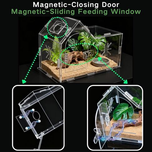Jumping Spider Enclosure,House Shape Acrylic Reptile Enclosure,8.6 x 4.6 x 5.9 Inches for Ferns,Succulent,Insect Terrarium,Praying Mantis Habitat,Frog Enclosure,Amphibians Enclosure in Saudi Arabia