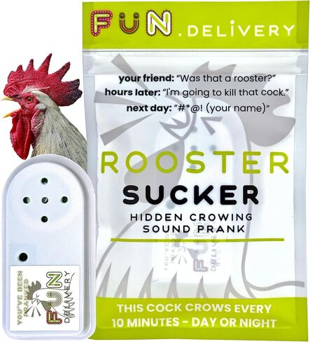 FUN delivery Meow Hear This: Hidden Cat Sound Prank Device to Prank Friends & Family – Fun Joke Toy for Parties & Offices – Perfect for Pranksters in Kuwait