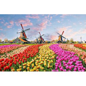 Jigsaw Puzzles for Adults 1000 Pieces Country House Puzzles Spring Landscape Puzzle Picturesque Bridge 1000 Piece Jigsaw Puzzle DIY Challenging Game Toys Gift in Kuwait
