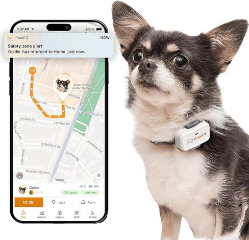 Lite for Small Dogs 4g GPS Tracker | Real Time Tracking | Activity Monitoring |Location History | Unlimited Range | Onyx Black in Saudi Arabia