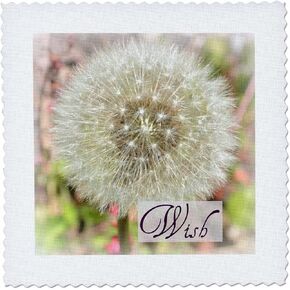 3dRose qs_31469_2 Dandelion Flower Wish Inspirational Quotes Flowers-Quilt Square, 6 by 6-Inch