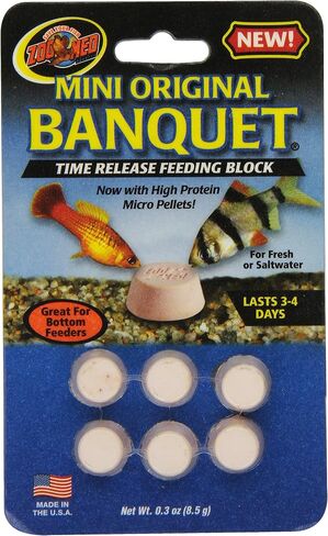 Zoo Med Laboratories AZMBB2 Mini Banquet Block Feeders, 12 Count in Saudi Arabia