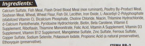 Zoo Med Laboratories AZMBB2 Mini Banquet Block Feeders, 12 Count in Saudi Arabia