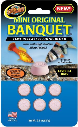 Zoo Med Laboratories AZMBB2 Mini Banquet Block Feeders, 12 Count in Saudi Arabia